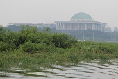 Nature's resilient beauty as seen on Bamseom Island