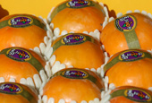 Persimmon farmer moves upmarket with branding